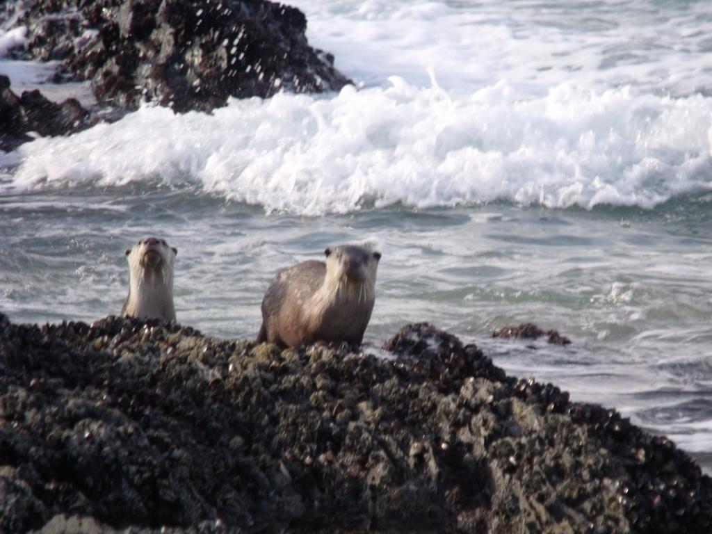 شقة Natureʼs Valley  في Kamma-Otter المظهر الخارجي الصورة