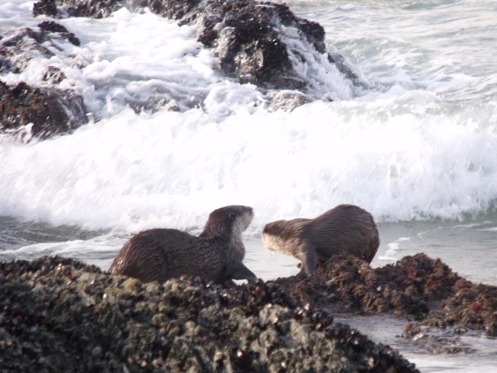 شقة Natureʼs Valley  في Kamma-Otter المظهر الخارجي الصورة